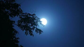 The moon night view with the round and white moon in the sky photo