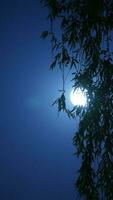 The moon night view with the round and white moon in the sky photo