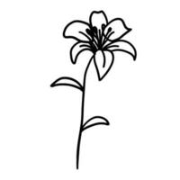 Flower in outline doodle flat style for coloring. Simple floral element plant leaves decorative design. Hand drawn line art. Creative sketch. Vector illustration isolated on white background.