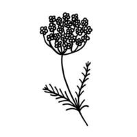 Flower in outline doodle flat style for coloring. Simple floral element plant leaves decorative design. Hand drawn line art. Creative sketch. Vector illustration isolated on white background.