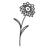 Flower in outline doodle flat style for coloring. Simple floral element plant leaves decorative design. Hand drawn line art. Creative sketch. Vector illustration isolated on white background.