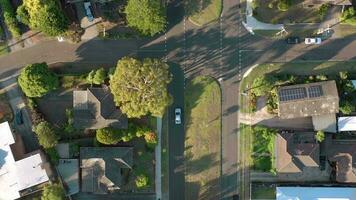 huizen in buitenwijk Australië antenne visie van typisch straten en buurt video