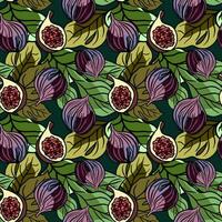 Seamless botanical pattern with figs and leaves vector