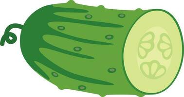 Half of cucumber. vector