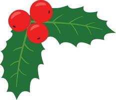 Christmas holly illustration vector