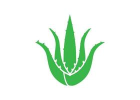 Aloe Vera icon clipart design illustration template vector