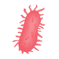 bacterias sucio enfermedad png