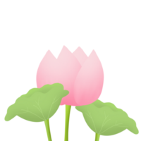 Lotus flower cartoon png