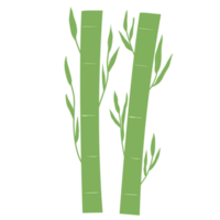 vert bambou pour décorations png