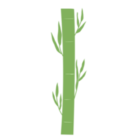 vert bambou pour décorations png