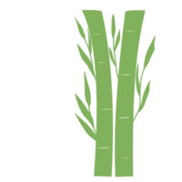 vert bambou pour décorations png