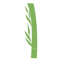 Green Bamboo for Decorations png