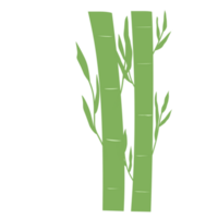 vert bambou pour décorations png