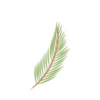 Date Leaf or Palm leaf for Decoration png