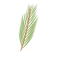 Date Leaf or Palm leaf for Decoration png