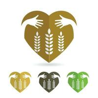 isolate icon of Wheat ears vector