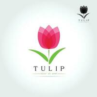 Simple Tulip bud with leaves design vector