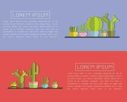 un suculento plantas y cactus vector