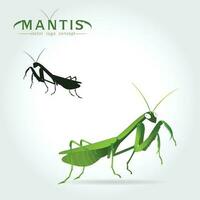 Green Mantis Vector