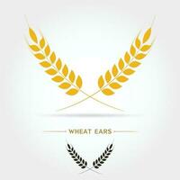 isolate icon of Wheat ears vector