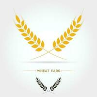 isolate icon of Wheat ears vector