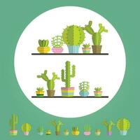 un suculento plantas y cactus vector