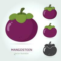 Ilustración de vector de fruta de mangostán