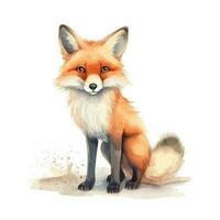 Cute Watercolor Fox In Natural State Standing Gracefully vector