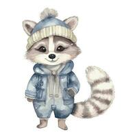 Watercolor Cute Racoon With Cotton Hat and Jacket vector