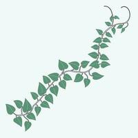 Floral ivy drawing decorative ornament flat design. vector