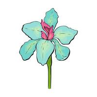 Iris blue and yellow flowers isolated on white background, contour hand drawn. vector