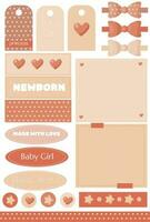 vector set pink elements for baby girl with lot of pretty decor