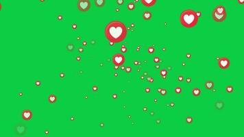 lot of love react icons flying animation on green screen background, social media live stream love react increasing animated 4k video