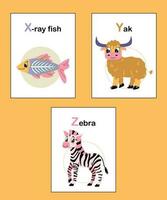 Animal alphabet cards X to Z. Colorful educational childish vector illustrations with letters. Funny learning alphabet collection. X-ray fish, yak, zebra