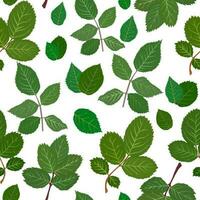 Pattern rose leaves gouache flat illustrations set. Green leaves pattern isolated on white background for wrapping paper, wallpaper vector
