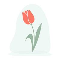 Clip art of hand drawn tulip on isolated background. Design for mothers day, springtime and summertime celebration, scrapbooking, wedding invitation, textile, home decor, paper craft. vector