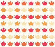 Autumn colorful leaves pattern. Seasonal content. vector