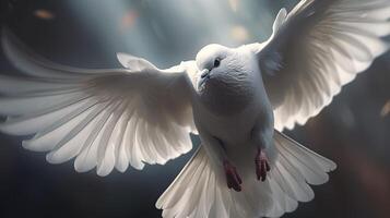 white dove flying, digital art illustration, photo