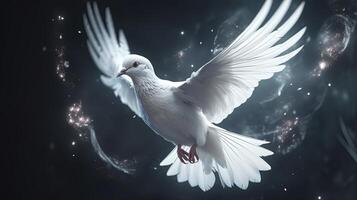 white dove flying, digital art illustration, photo