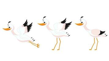 Illustration of beautiful stork set on white background. vector