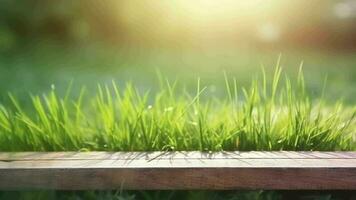 verwirrend Frühling verbreitet Einrichtung mit Grün ungebraucht herrlich erregt Gras und reinigen hölzern Tabelle im Natur Morgen öffnen sehen bei. kreativ Ressource, Video Animation