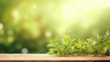 désorientant printemps commun établissement avec vert inutilisé délicieux excité herbe et purifier en bois table dans la nature Matin ouvert voir à. Créatif Ressource, vidéo animation video