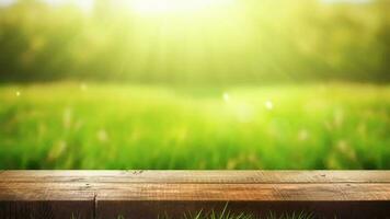 Disorienting spring common foundation with green unused delightful energized grass and cleanse wooden table in nature morning open see at. Creative resource, Video Animation