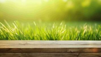 desoriënterend voorjaar gemeenschappelijk fundament met groen ongebruikt verrukkelijk bekrachtigd gras en reinigen houten tafel in natuur ochtend- Open zien Bij. creatief hulpbron, video animatie