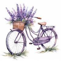 Cute watercolor bicycle with flowers. Illustration photo