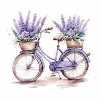 Cute watercolor bicycle with flowers. Illustration photo