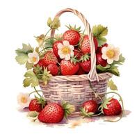 Watercolor strawberries in basket. Illustration photo