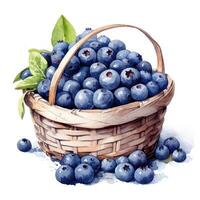 Watercolor blueberries in basket. Illustration photo