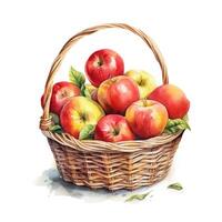 Watercolor apples in basket. Illustration photo