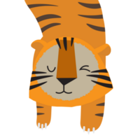 fofa tigre mão desenhado ilustração, desenho animado animal personagem png